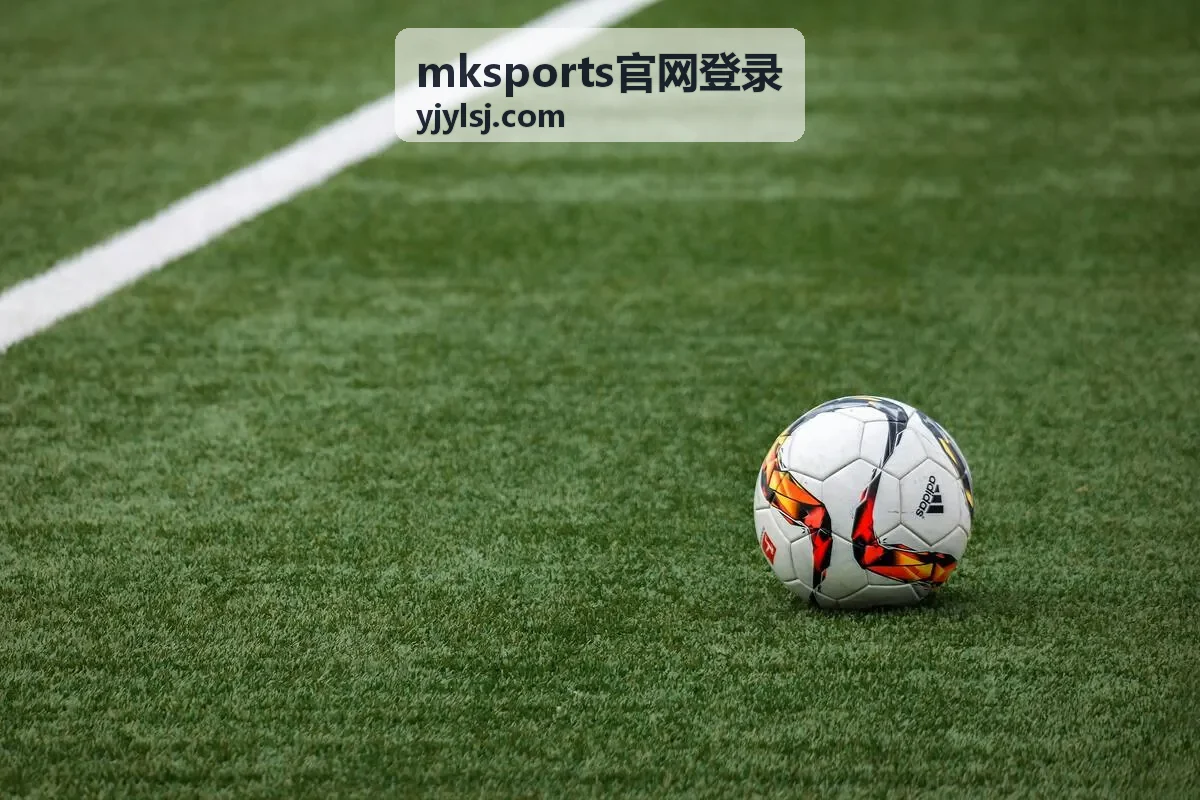 mksports官网登录网页端账号填写界面演示