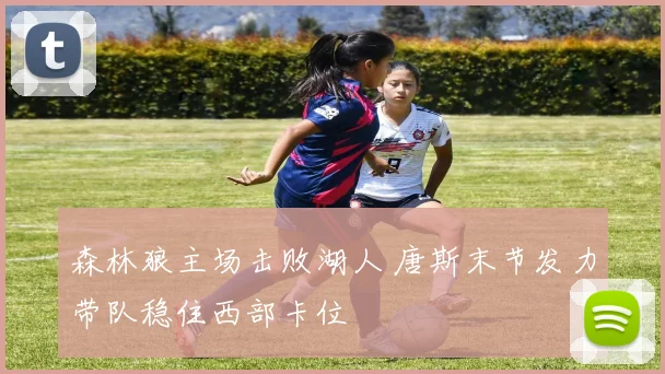 森林狼主场击败湖人 唐斯末节发力带队稳住西部卡位