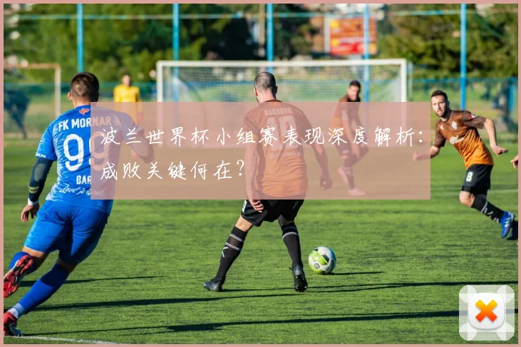 波兰世界杯小组赛表现深度解析：成败关键何在？